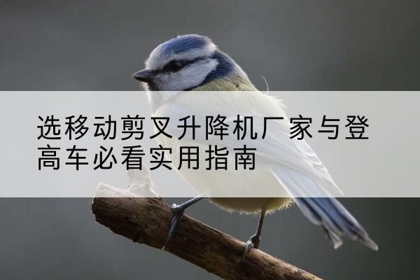 射阳电动升降机厂家-选移动剪叉升降机厂家与登高车必看实用指南