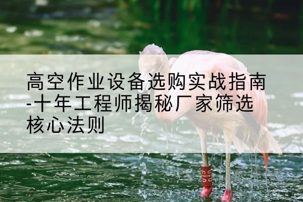 射阳剪叉式升降机厂家-高空作业设备选购实战指南-十年工程师揭秘厂家筛选核心法则