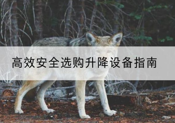 射阳升降货梯厂家推荐-*安全选购升降设备指南