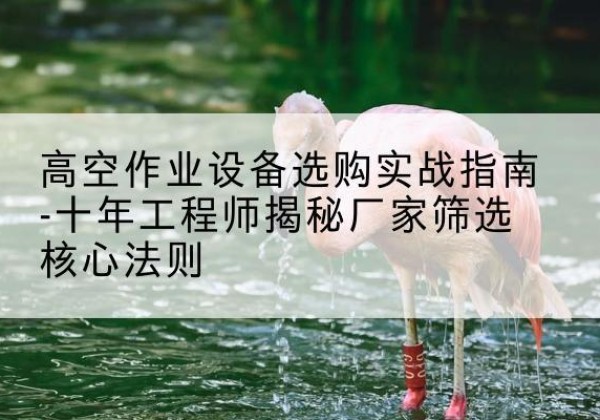 射阳剪叉式升降机厂家-高空作业设备选购实战指南-十年工程师揭秘厂家筛选核心法则