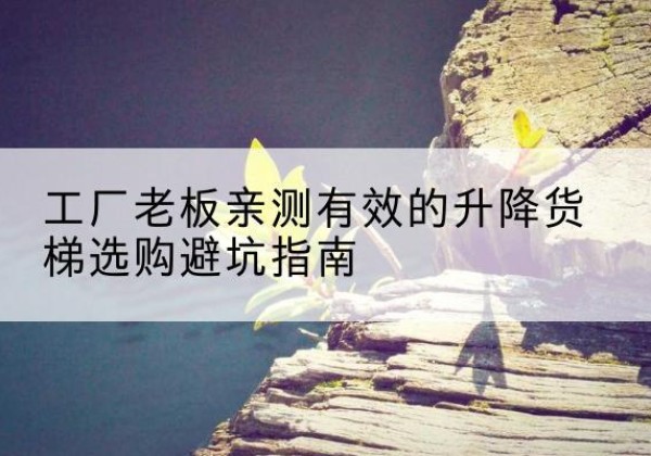 射阳升降货梯怎么选-工厂老板亲测有效的升降货梯选购避坑指南